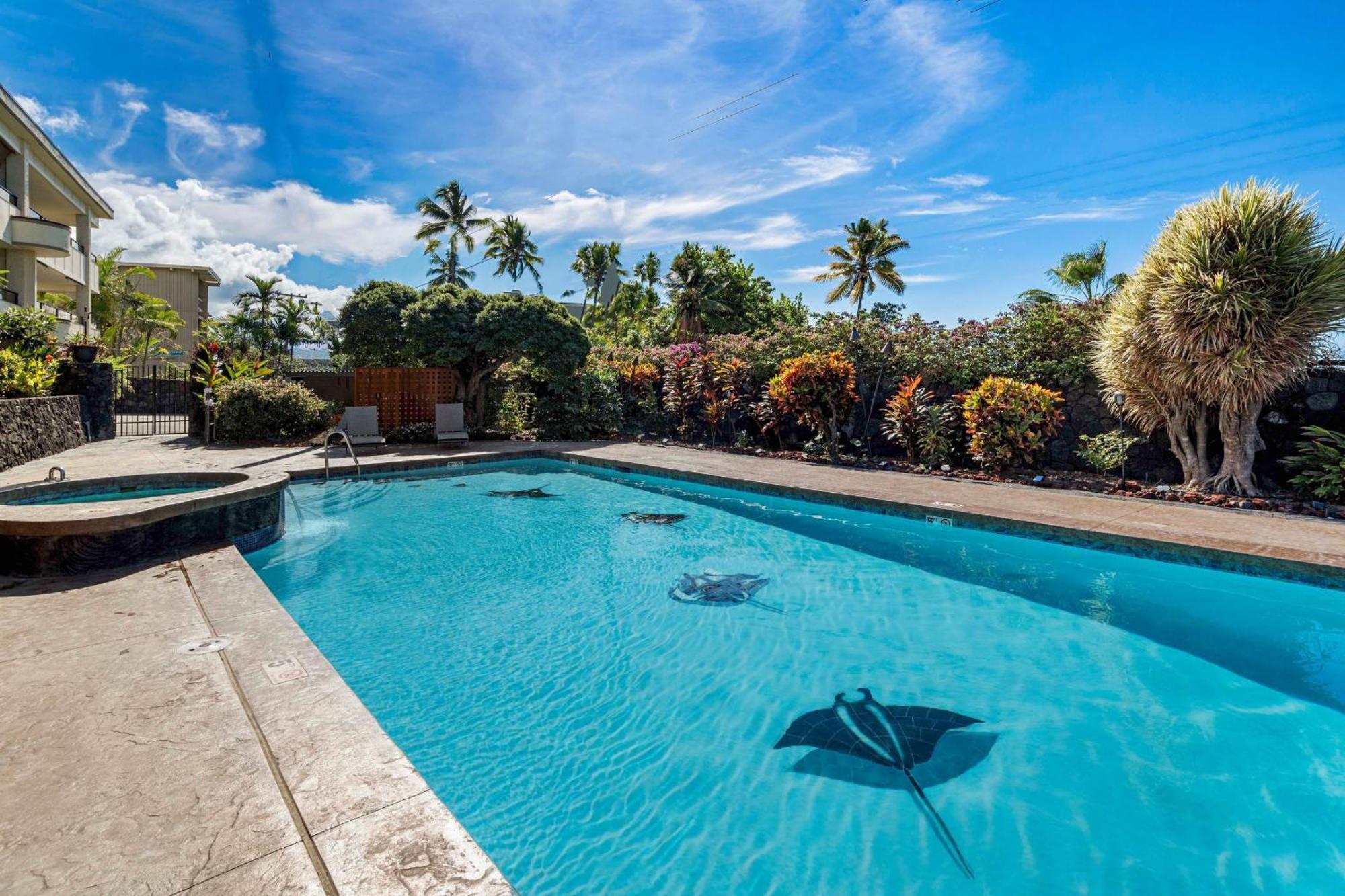 Direct Oceanview Paradise In A Luxury Condo 2B2B,Ac Kailua-Kona Zewnętrze zdjęcie